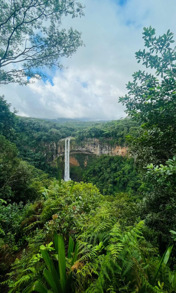 Paysage nature — Chamarel — Île Maurice
