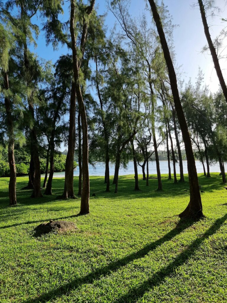 Ìlot et eaux cristallines — Coin de Mire — Île Maurice