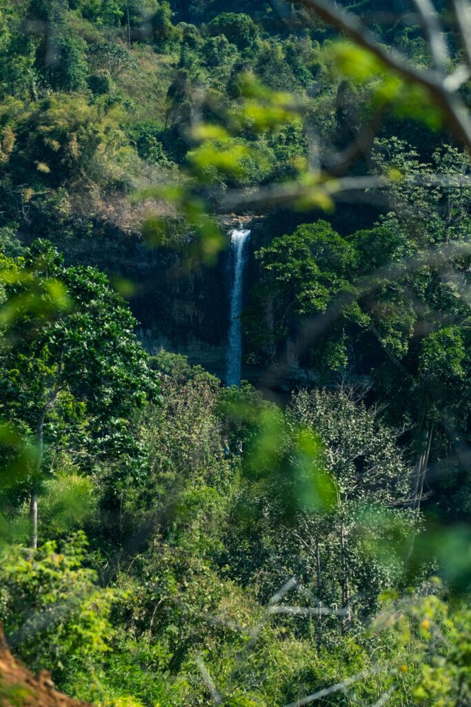 Cascade tropicale — Tamarin — Île Maurice
