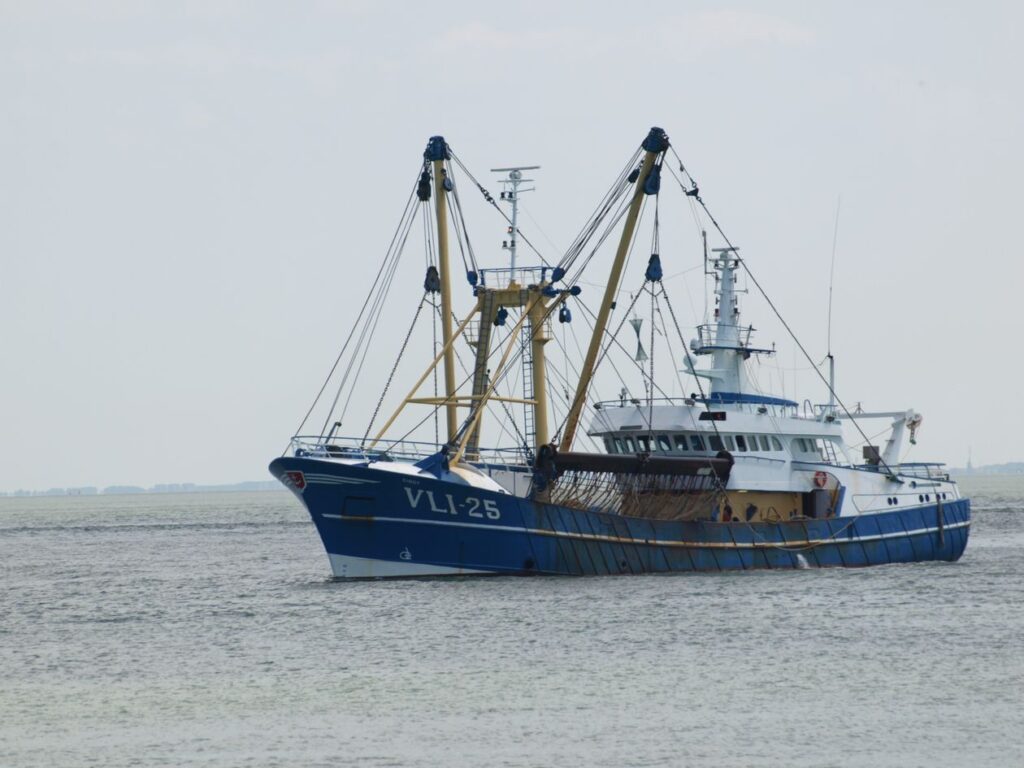 Pêche au gros — Côte Ouest