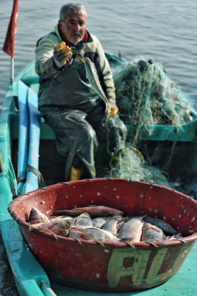 Pêche au gros — Côte Ouest — ambiance