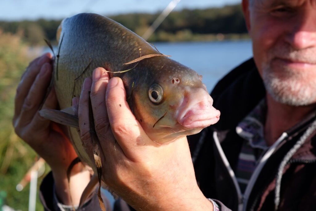 Pêche au gros — Côte Ouest — gros plan