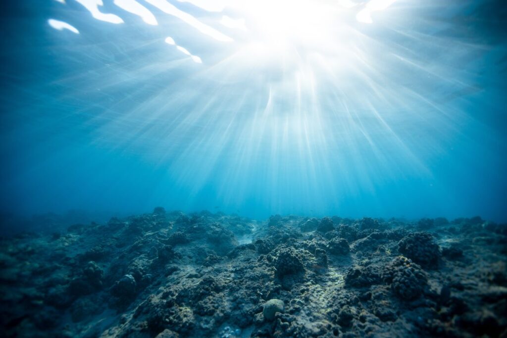 Sous-marin Blue Safari — Trou aux Biches — en situation
