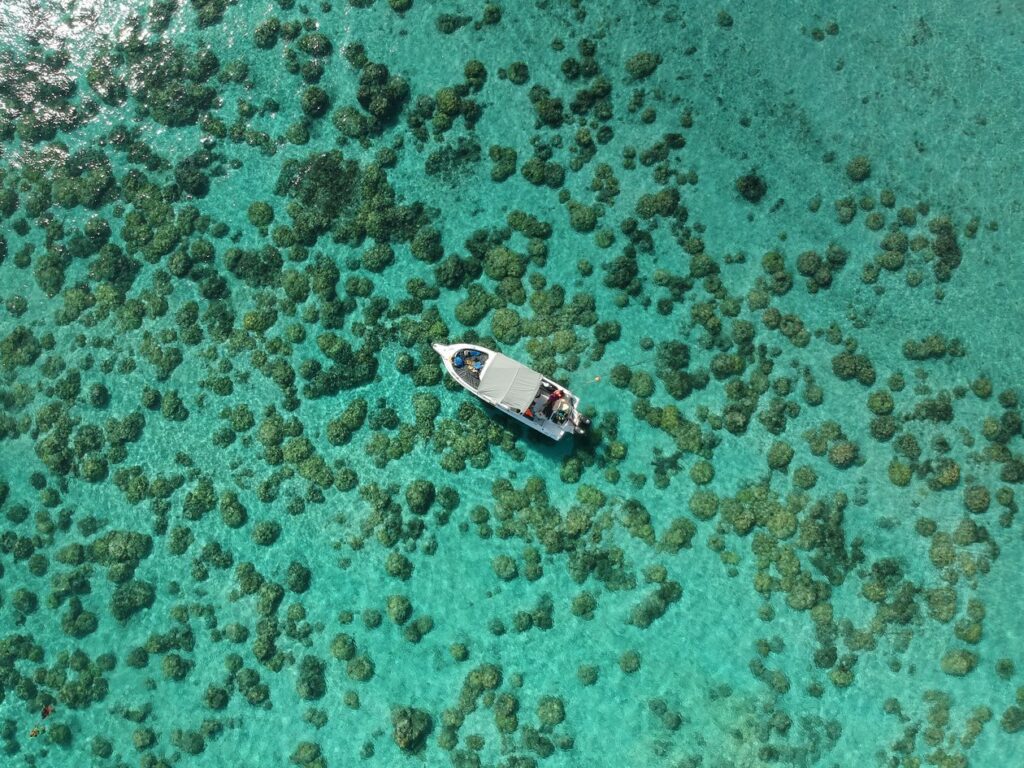 Île aux Cerfs — Catamaran + Cascade GRSE