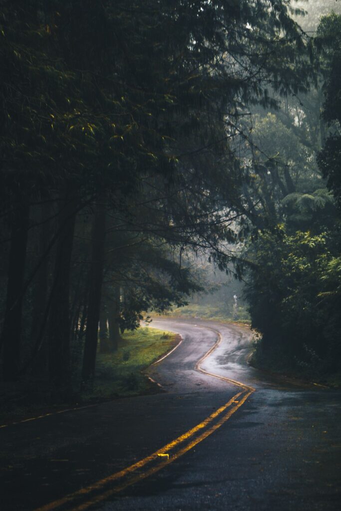 Ebony Forest Chamarel — Canopée Endémique — ambiance