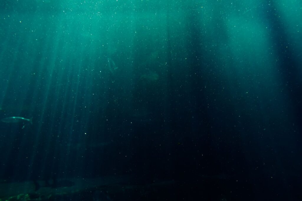 Sous-marin Blue Safari — Trou aux Biches — gros plan