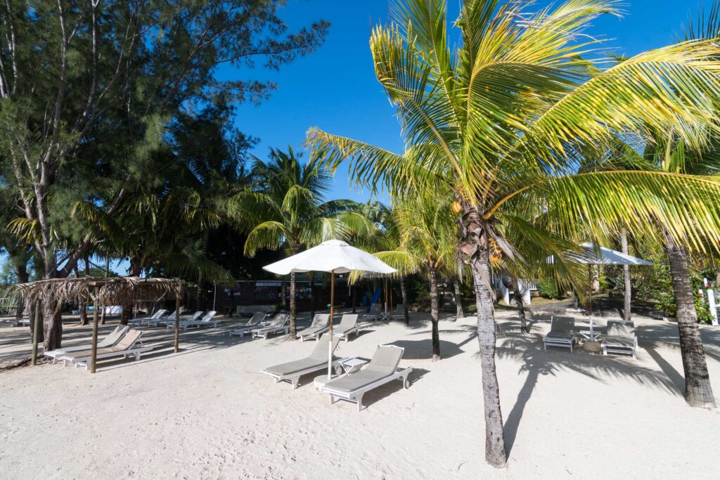 Hibiscus Boutique Hotel — cadre naturel