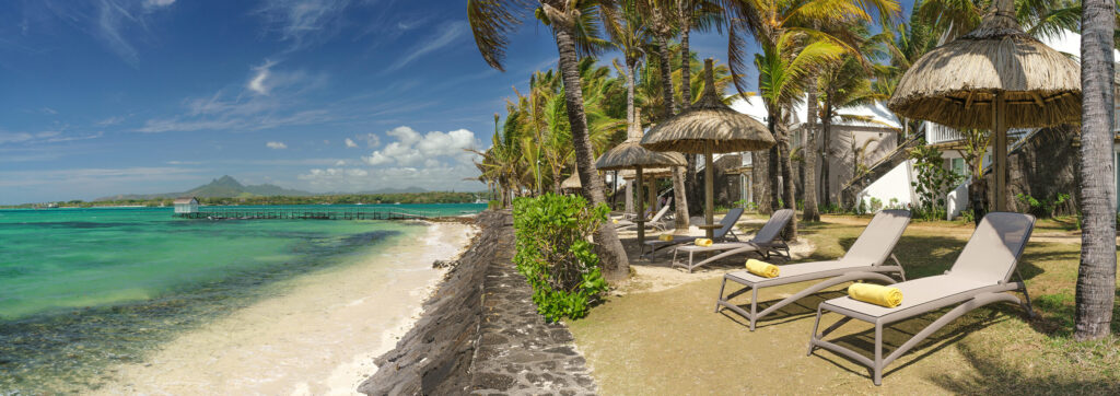 Tropical Attitude — cadre naturel