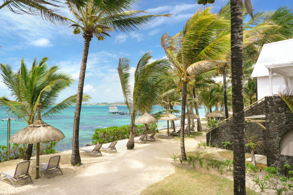 Tropical Attitude — sur place