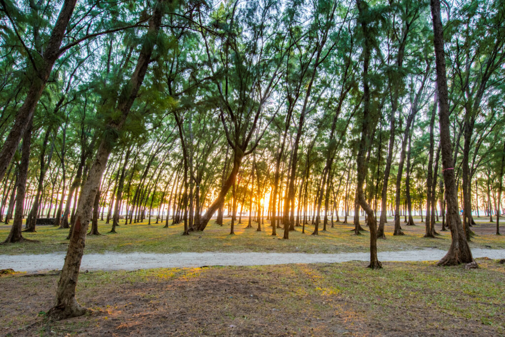 Mon Choisy Beach Resort — gros plan