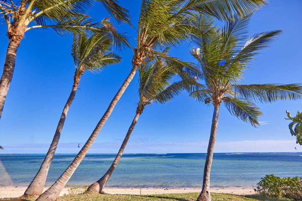 Hotel Riu Turquoise — cadre naturel