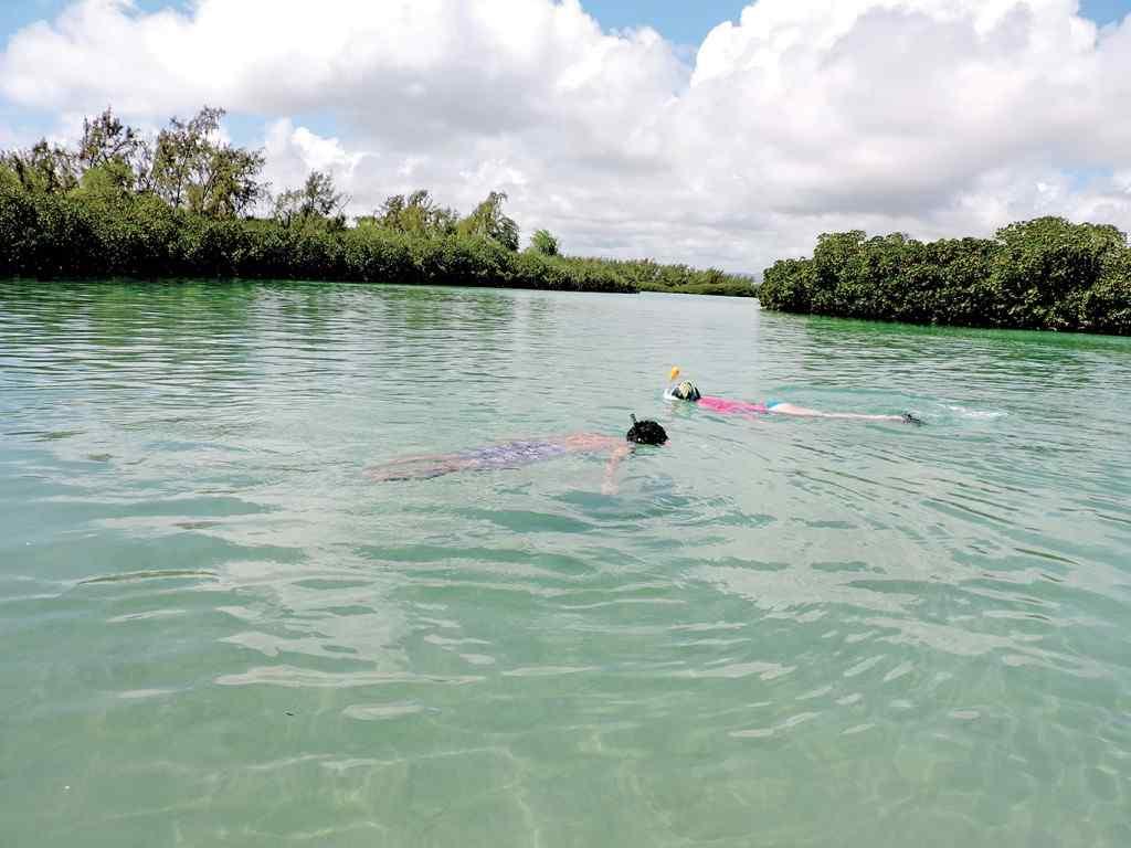 Îlot Bernaches & Île d’Ambre — gros plan