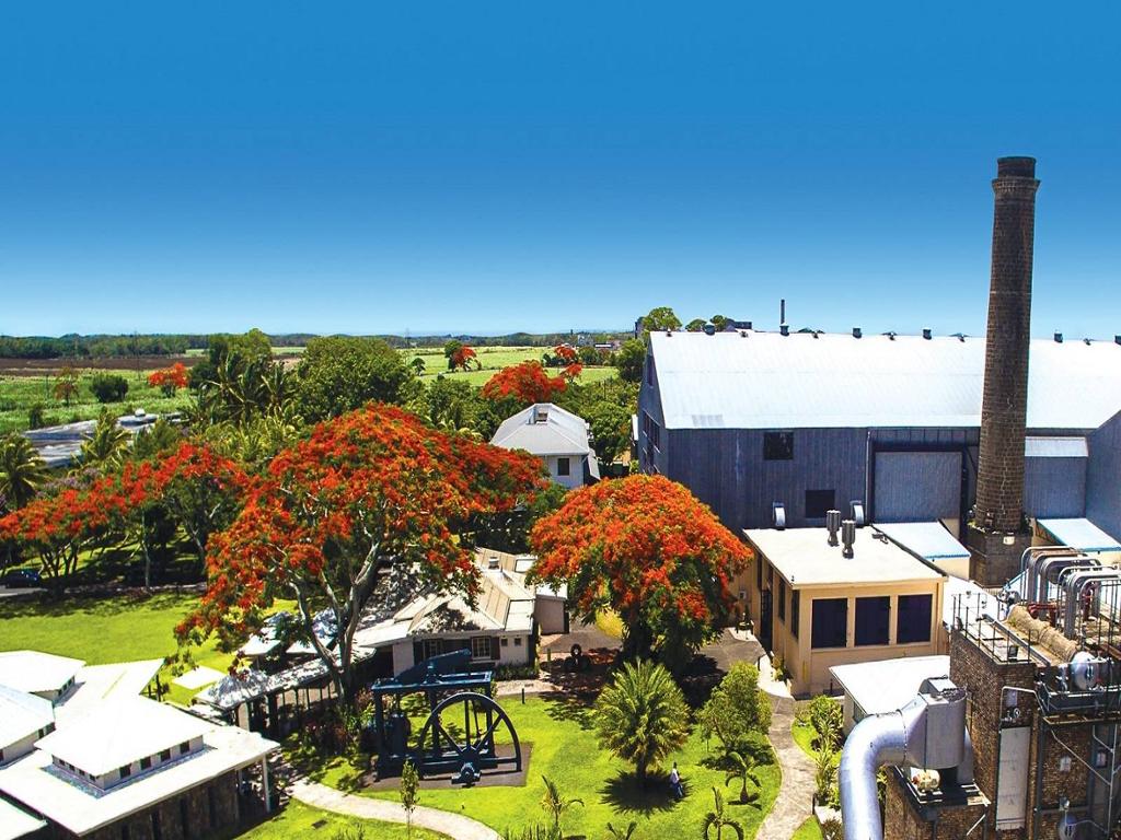Port Louis, Sugar World & jardin de Pamplemousses — gros plan