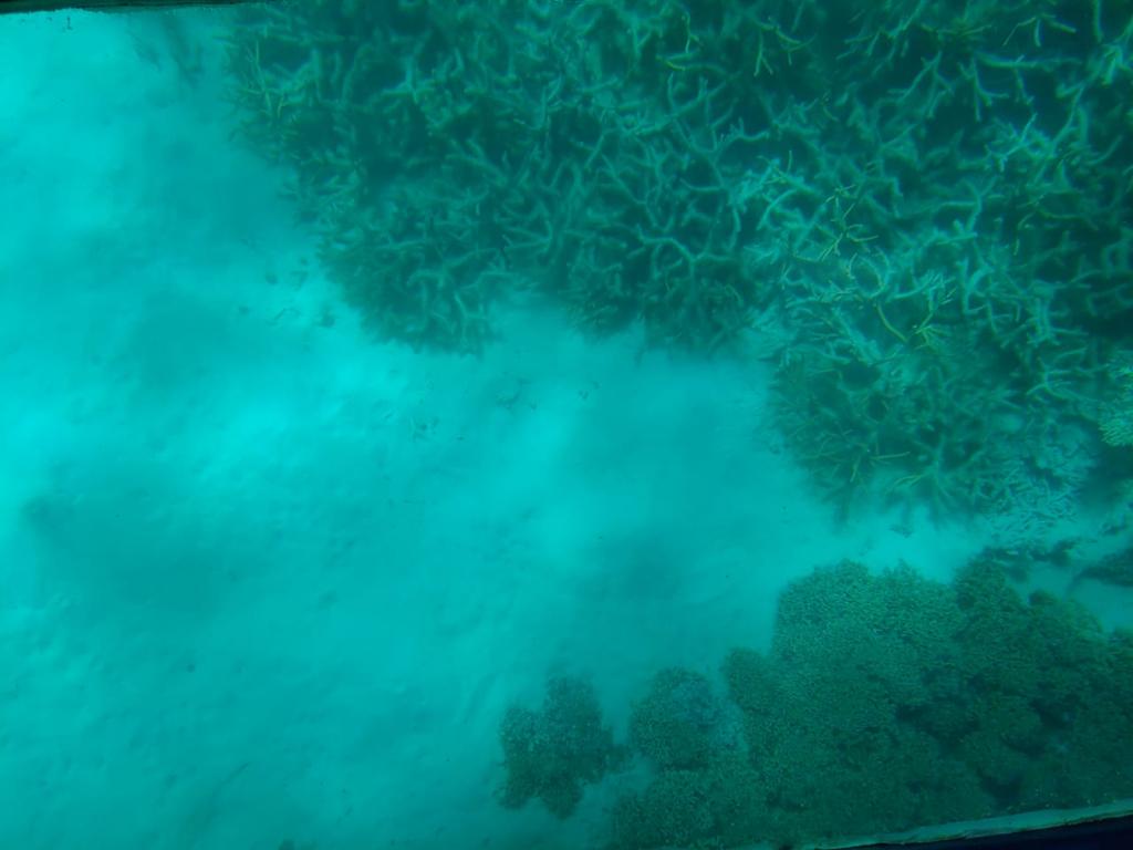 Musée naval de Mahébourg & Île des Deux Cocos — en situation